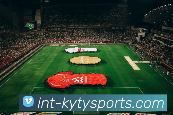 开云体育服务体系